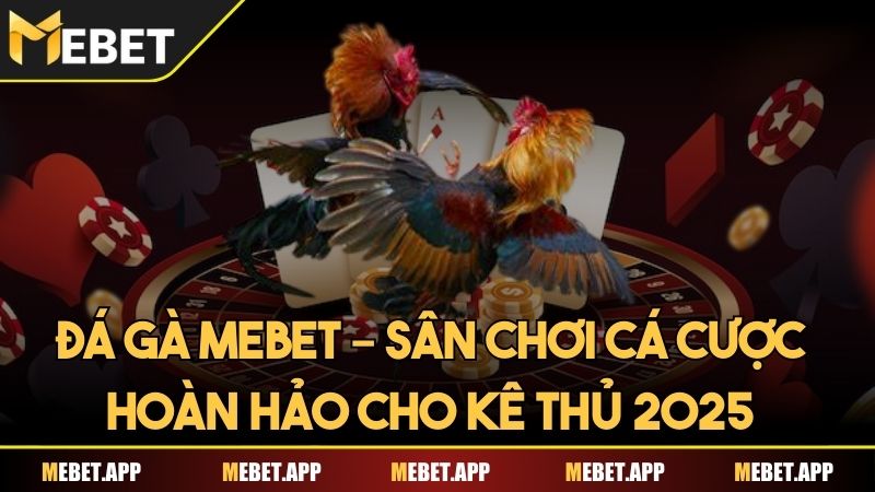 Đá gà Mebet – Sân chơi cá cược hoàn hảo cho kê thủ 2025